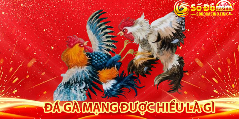 Đá gà mạng được hiểu là gì?