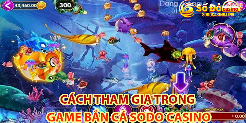 Hướng dẫn cách tham gia trong game bắn cá Sodo Casino