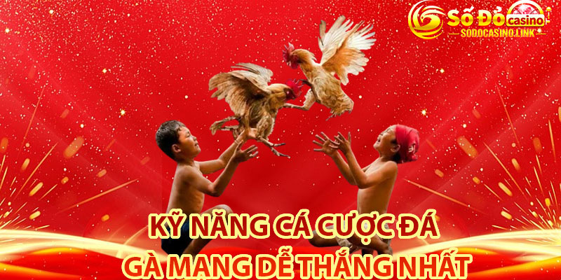 Kỹ năng cá cược đá gà mạng dễ thắng nhất